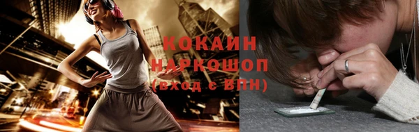 mix Богородицк