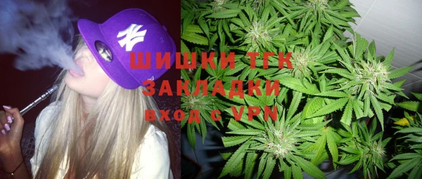 твердый Богородск
