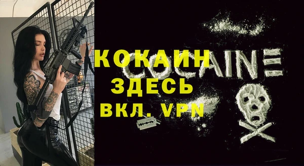 твердый Богородск
