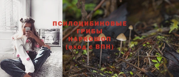 jwh Богданович