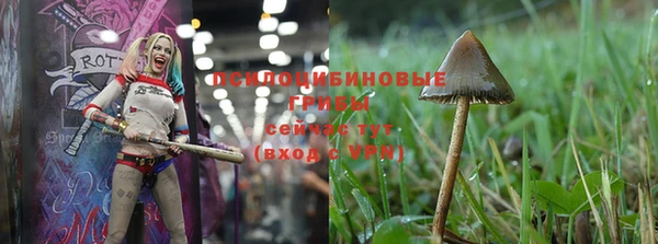 mix Богородицк