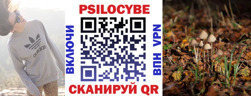 дарнет шоп hydra как зайти Псилоцибиновые грибы Magic Shrooms Кострома
